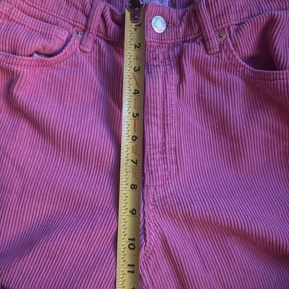Zara Blush Corduroy Trousers - Picture 5 of 6